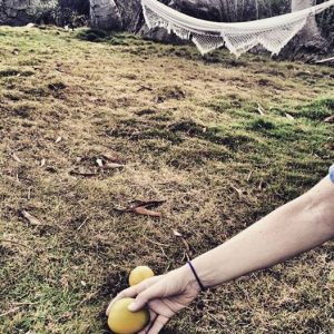 11401476_10206797424162332_180950423239051130_n