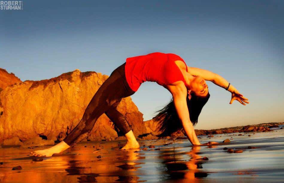 401201_10150497590175914_113021315913_8879074_1718166312_n