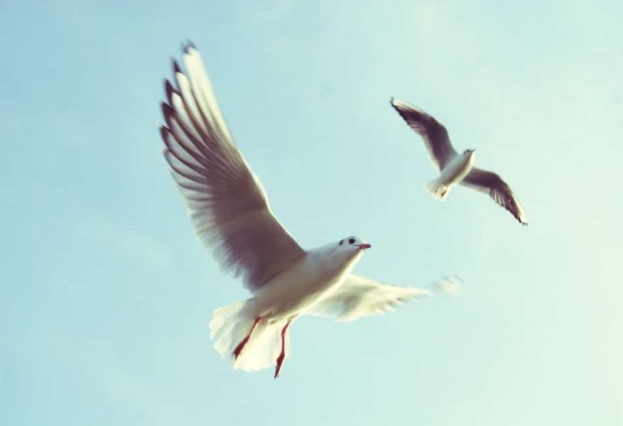 When Someone You Love Threatens to Kill You