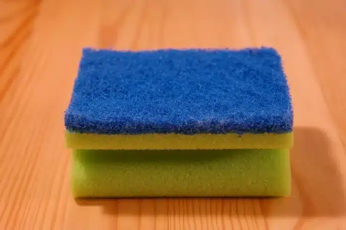 blue sponge