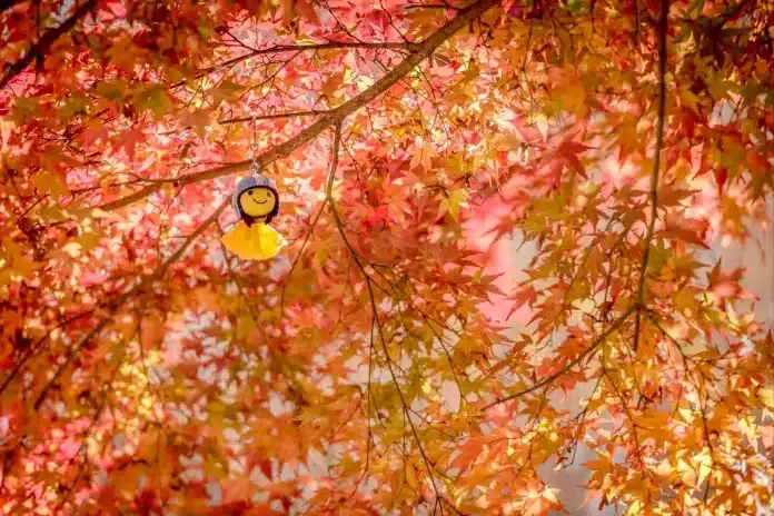 teru teru bozu Anthropocene