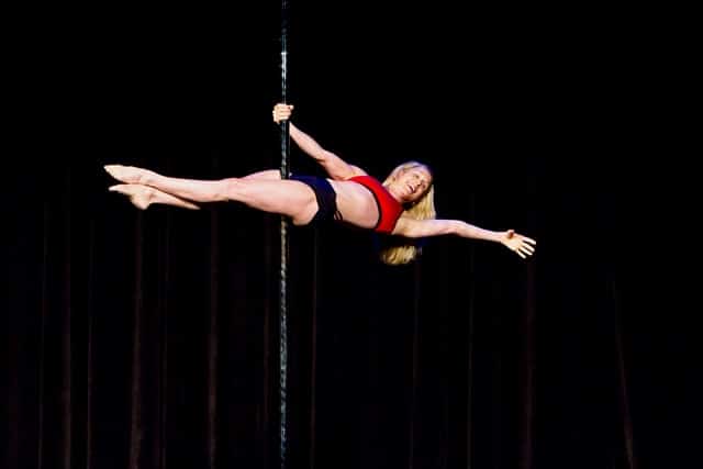 stripper pole pole