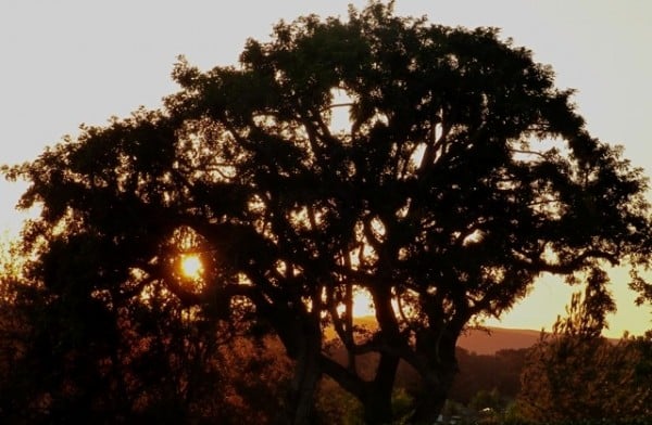 Sunset at the cemetery.