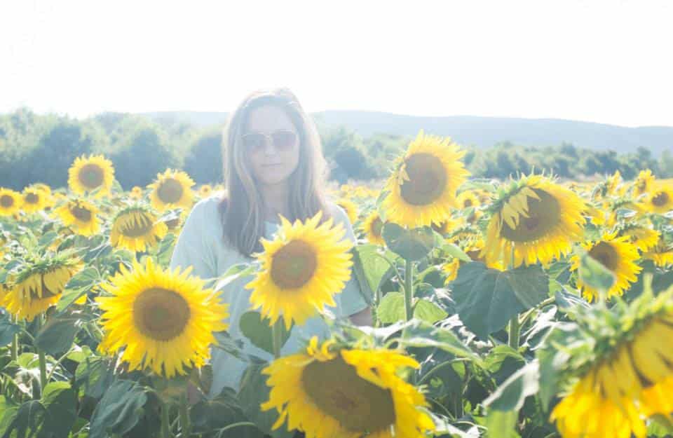 Katie_Devine-sunflower2014-2