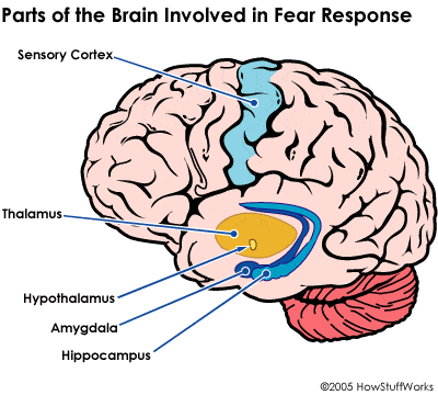 fear 4