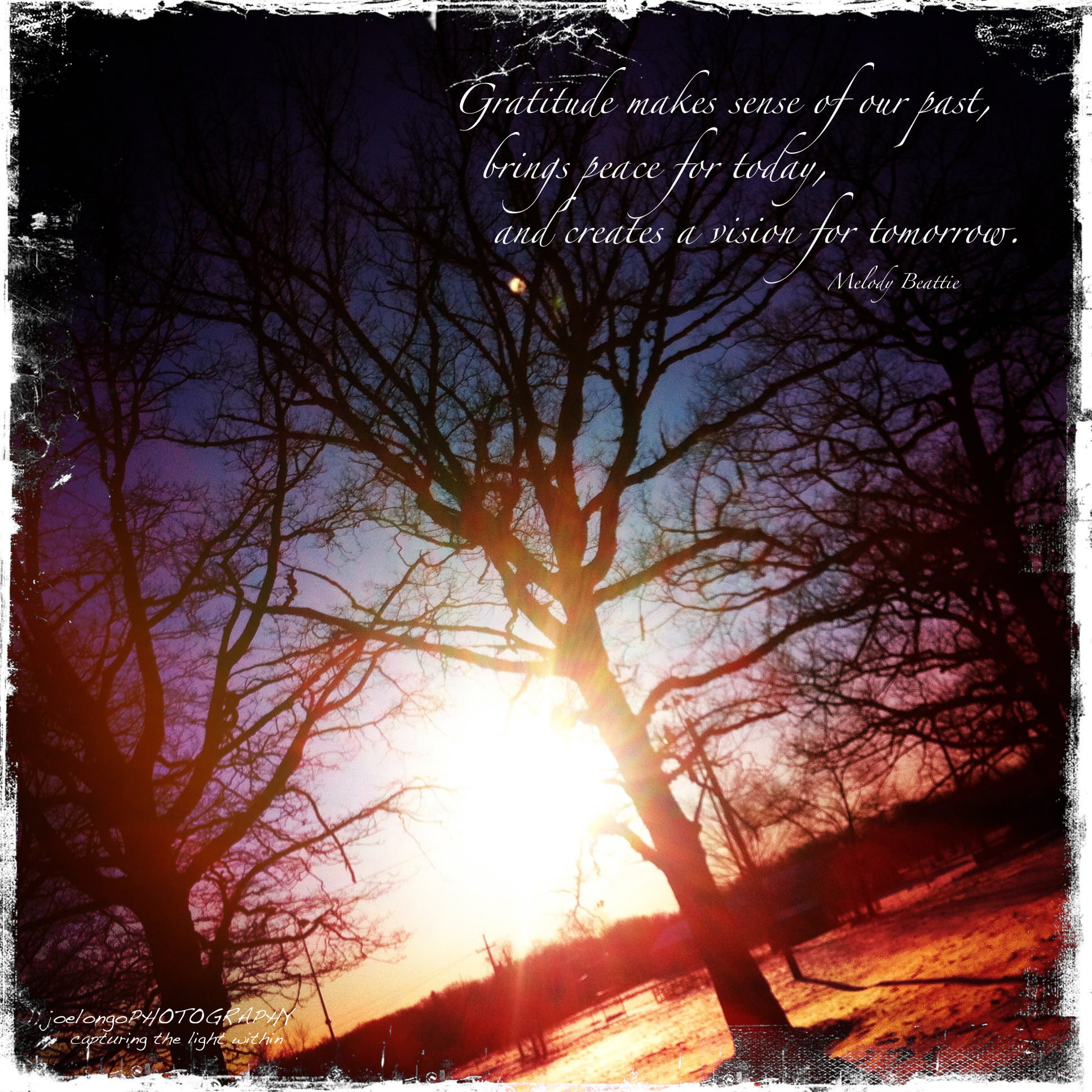 gratitude