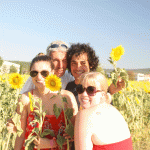 group sunflowers4
