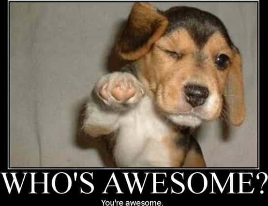 who is awesome